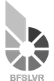 bitFORTUNE_SLVR_fulllogo_78x116